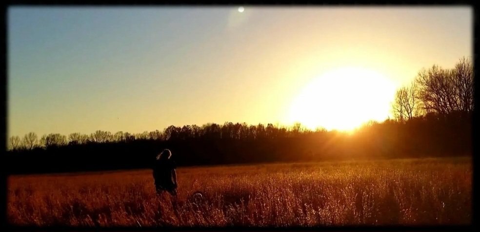 Dawn field — Poplar Bluff, Missouri